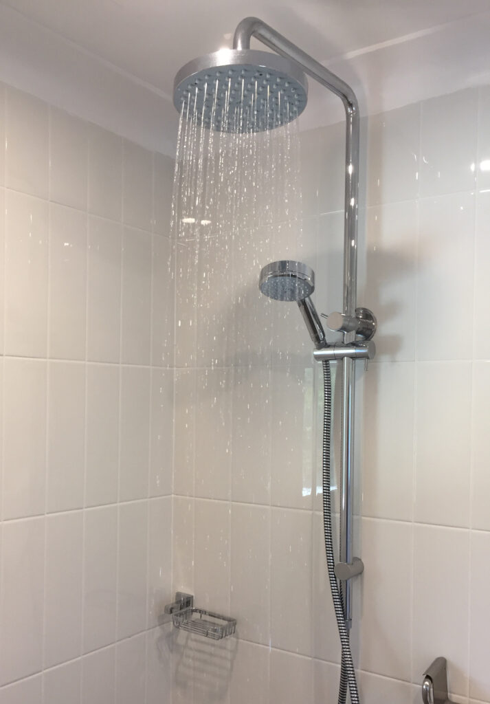 shower rose and hand held shower